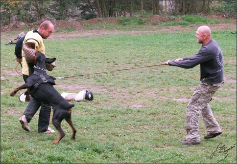 Training in Prague 10/2007